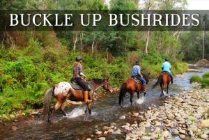 Bucke Up Bushrides. Discover the beauty of Victoria's High Country with a true horseback adventure. Our guides will take you through hidden trails & unforgettable scenery.