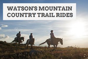 Watson's Mountain Country Trail Rides