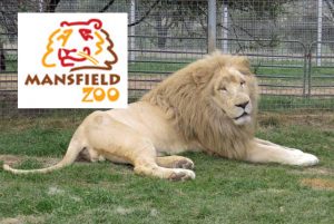 Mansfield Zoo is one of North East Victoria’s hidden secrets, with a large collection of exotic and native animals on 30 acres of picturesque parkland featuring lovely views across the Delatite Valley to Mt Buller. Hand or spade feed many of the animals as you wander, including monkeys!